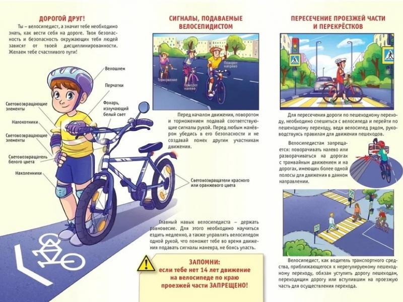 Памятка "Правила безопасности на СИМ"